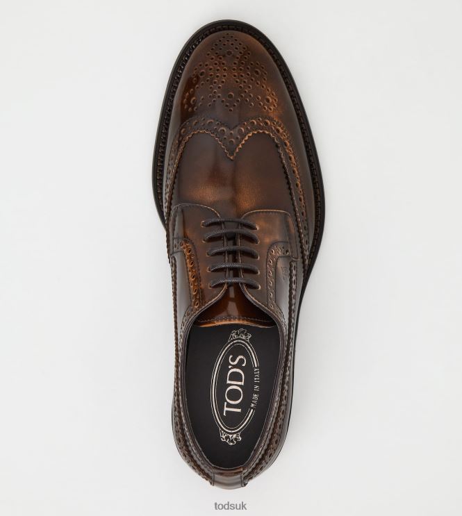 Tod's Men Lace-ups in Leather 602L84824 Brown