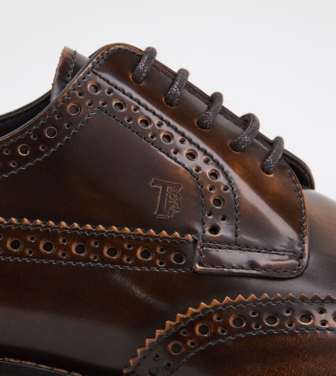 Tod's Men Lace-ups in Leather 602L84824 Brown
