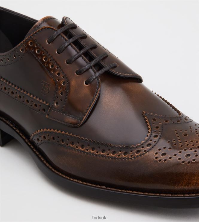 Tod's Men Lace-ups in Leather 602L84824 Brown